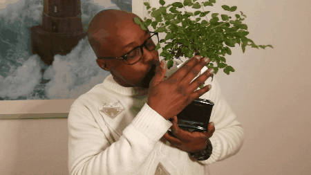 videotogif_2018.01.17_09.59.40.gif